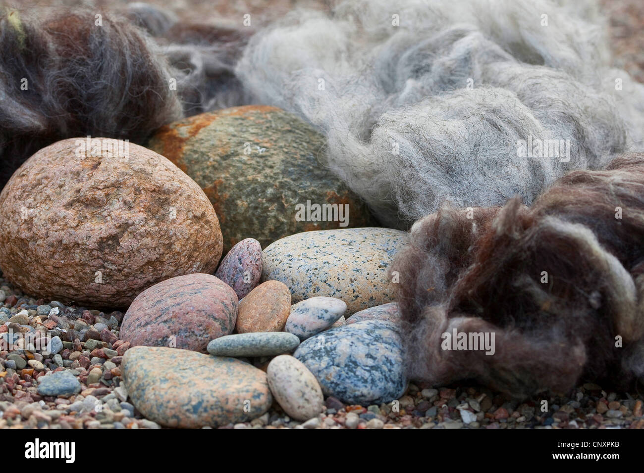 "Feltro stone troll' che serve come giardino decorazione: pietre naturali essendo dotato di cappelli di feltro di lana, Germania Foto Stock