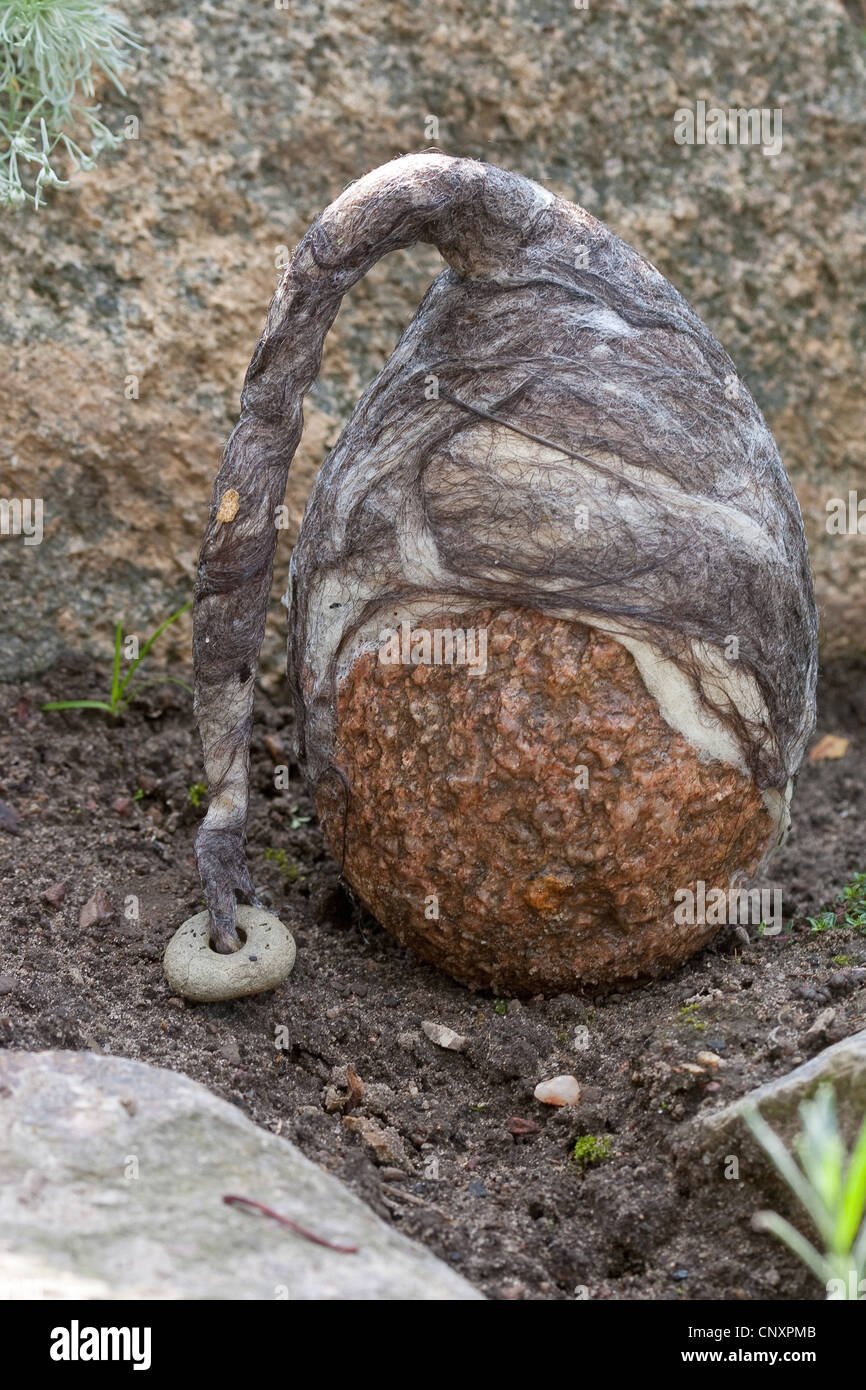 "Feltro stone troll' che serve come giardino decorazione: una pietra naturale dotato di cappelli di feltro di lana è in piedi in un letto, Germania Foto Stock