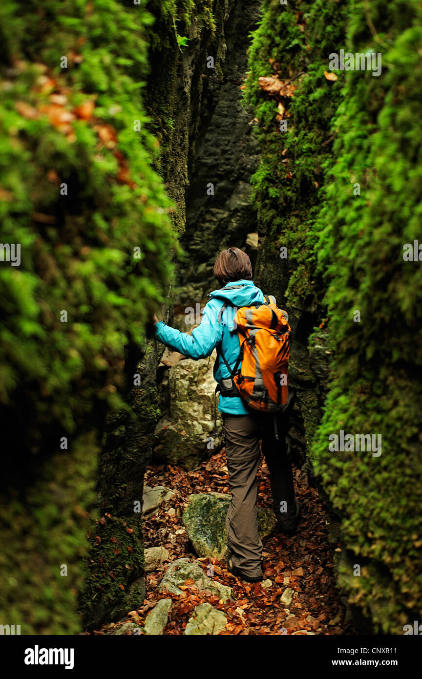 Canyon des Gueulards, a sud del parco naturale del Vercors, Francia, Vercors Foto Stock