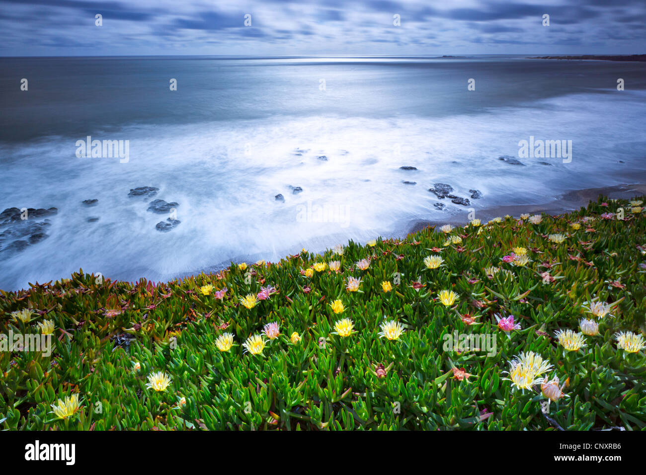 California State Route 1, paesaggio, Oceano Foto Stock