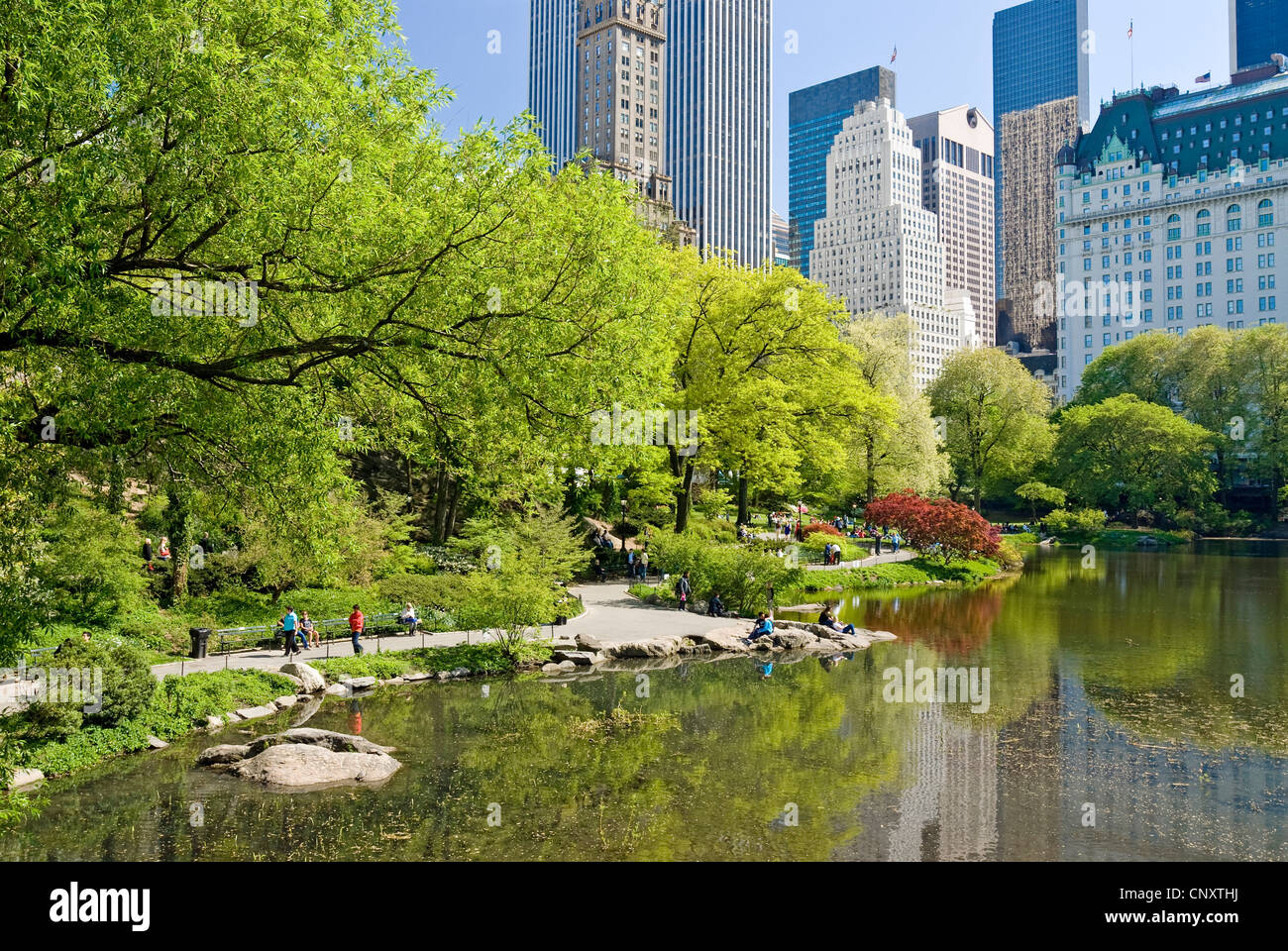 Il Central Park di New York City in primavera con il Plaza Hotel. Foto Stock