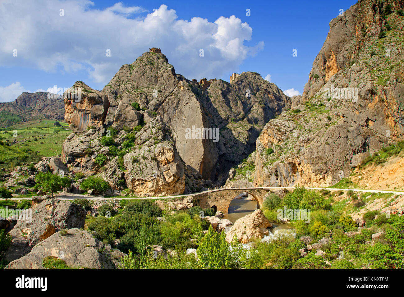 Ponte stradale sul fiume Cendere in un paesaggio di montagna, Turchia, Adyaman, Karadut Foto Stock