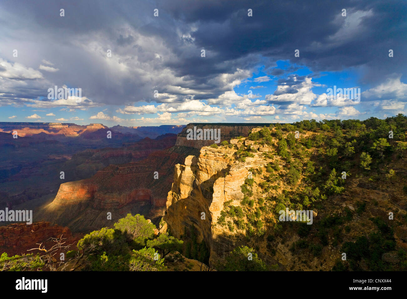 Bordo Meridionale del Grand Canyon e thunderclouds, STATI UNITI D'AMERICA, Arizona, il Parco Nazionale del Grand Canyon Foto Stock