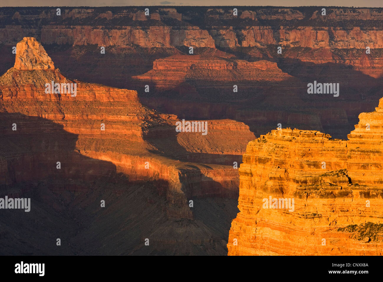Luce e ombra in corrispondenza di pareti di roccia del Grand Canyon, souther bordo dal punto di Mohave nella luce della sera, STATI UNITI D'AMERICA, Arizona, il Parco Nazionale del Grand Canyon Foto Stock