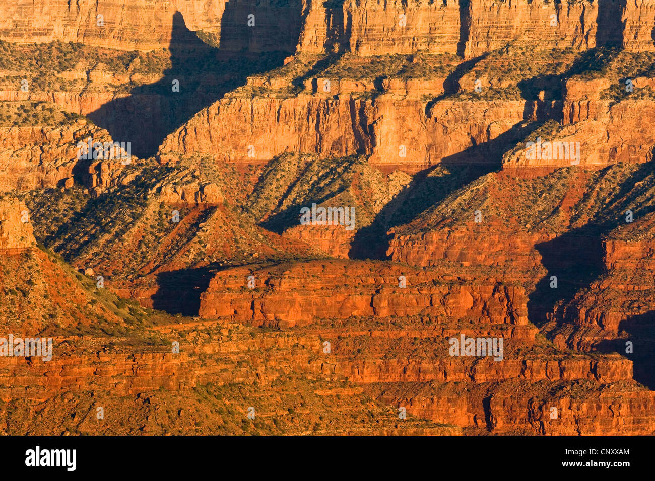 Luce e ombra in corrispondenza di pareti di roccia del Grand Canyon, STATI UNITI D'AMERICA, Arizona, il Parco Nazionale del Grand Canyon Foto Stock