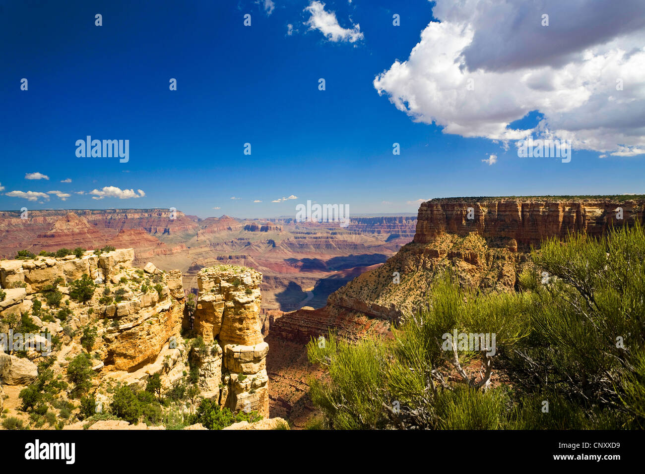 Vista dal punto di Moran al margine sud del Grand Canyon con Zuni punto sulla destra per il Fiume Colorado e il bordo settentrionale, STATI UNITI D'AMERICA, Arizona, il Parco Nazionale del Grand Canyon Foto Stock
