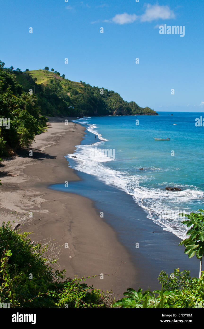 Vista da una collina su un Caraibi spiaggia di sabbia, Saint Vincent e Grenadine, Petit Bordel Bay Foto Stock