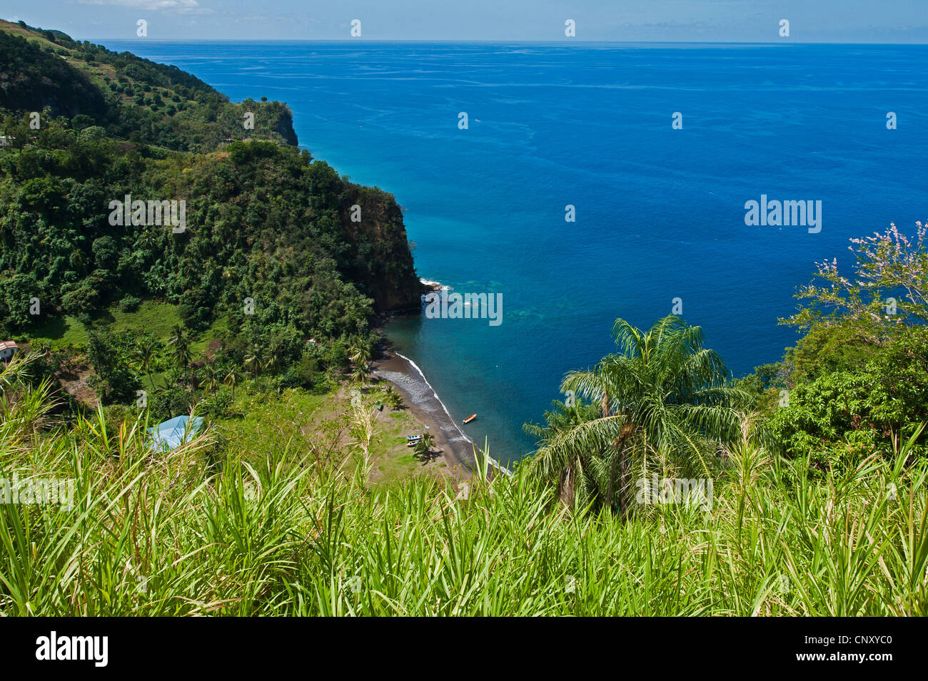 Vista in profondità su un Caraibi spiaggia di sabbia, Saint Vincent e Grenadine, L'Anse Mahaut Bay Foto Stock