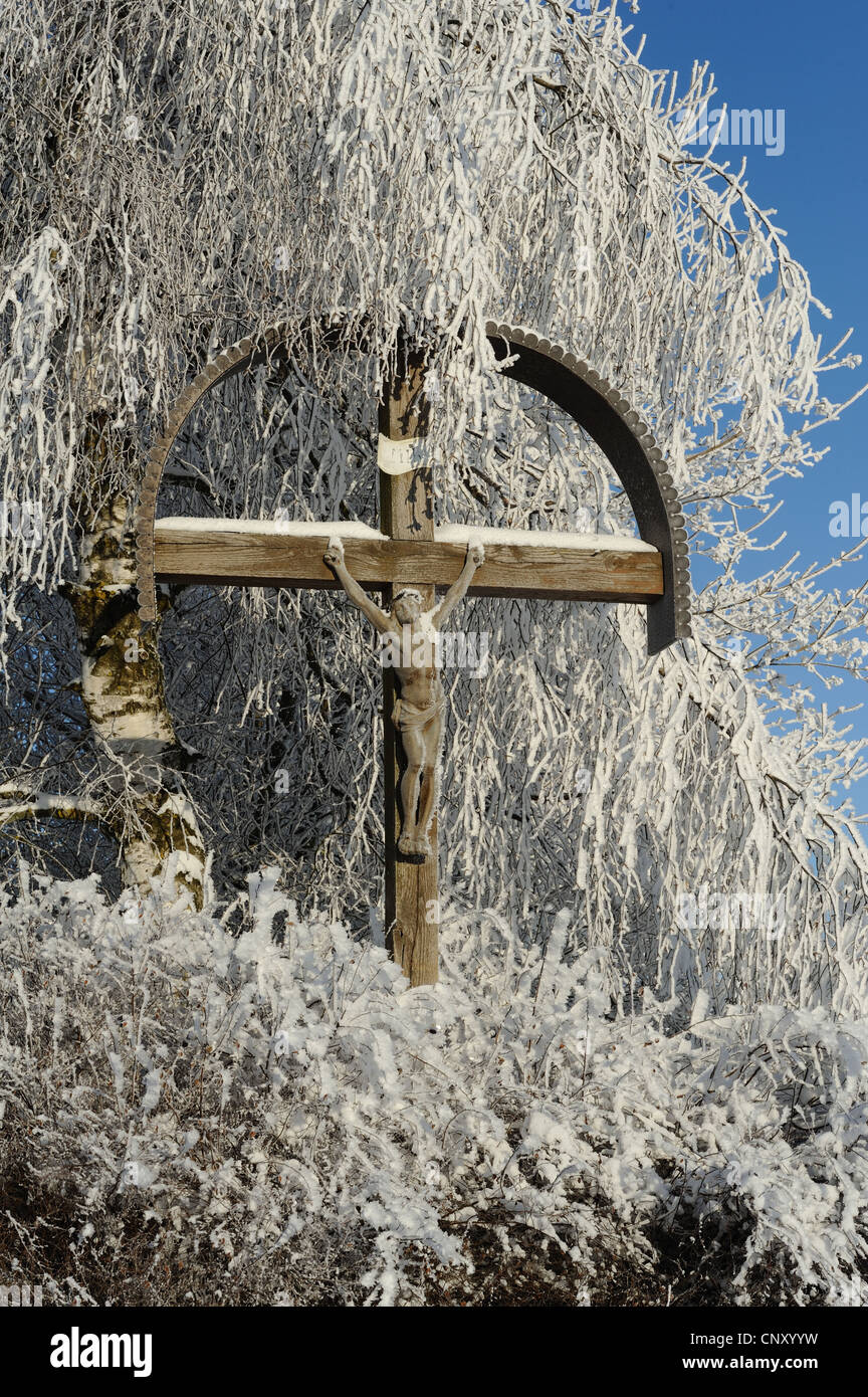Comune di betulla, argento betulla, bianco europeo betulla, bianco (betulla Betula pendula, betula alba), il crocifisso in rami di una betulla, in Germania, in Baviera, il Palatinato Superiore Foto Stock