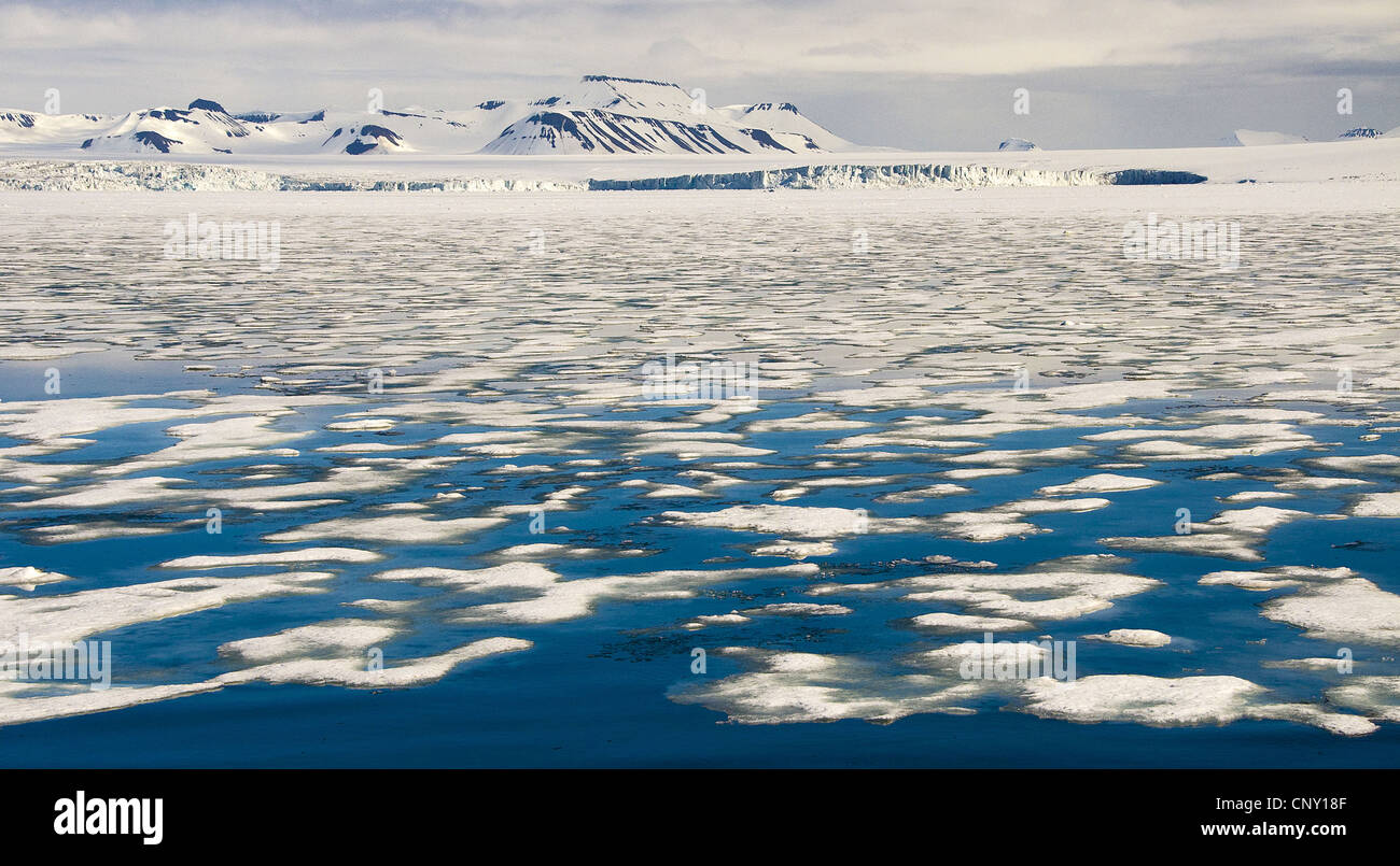 Ghiaccio in fusione nell'Oceano Artico a sud-ovest delle Isole Svalbard, Norvegia Isole Svalbard, Hornsund Foto Stock