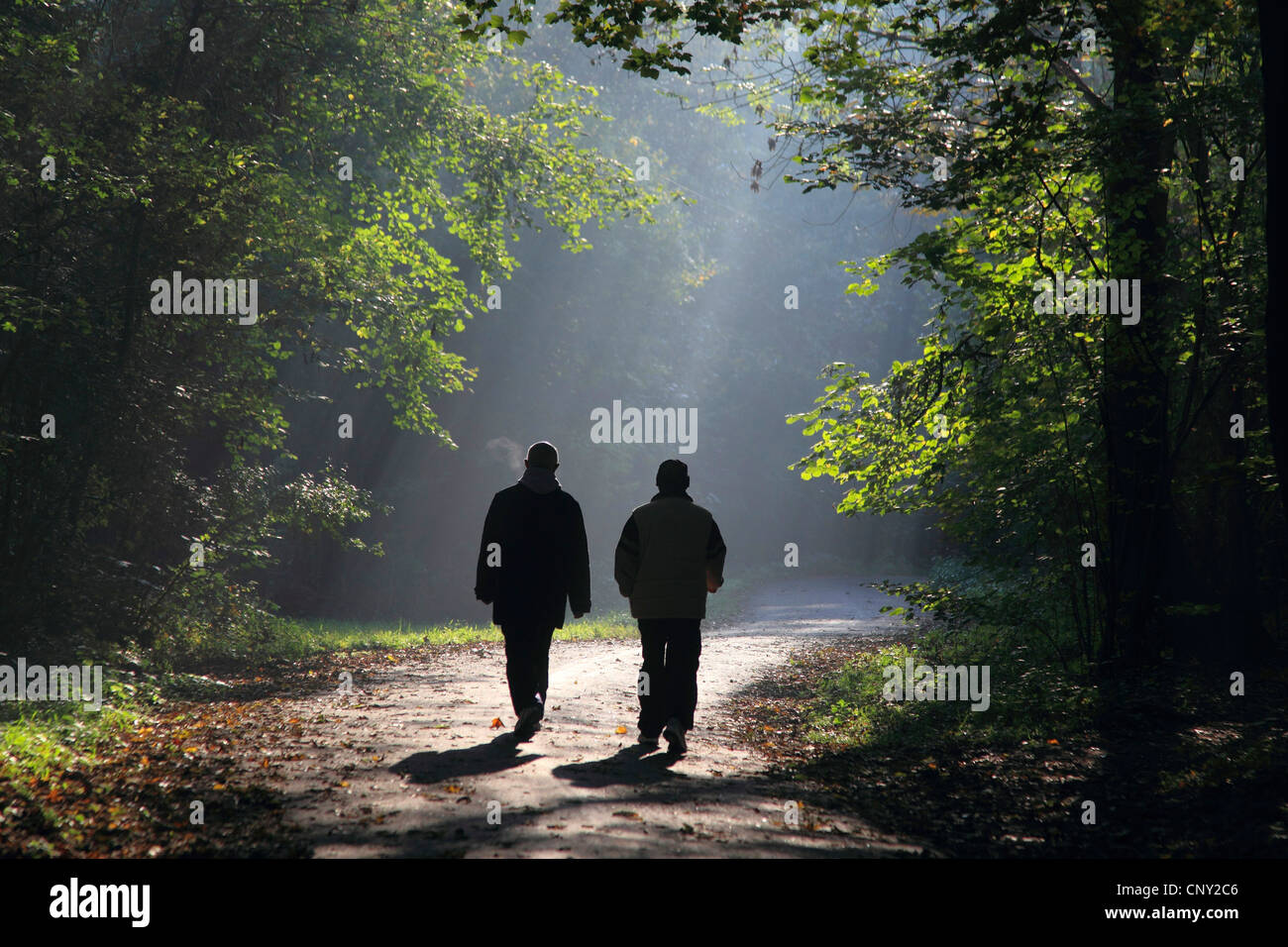 Due escursionisti a piedi attraverso la foresta autunnale, Germania Foto Stock