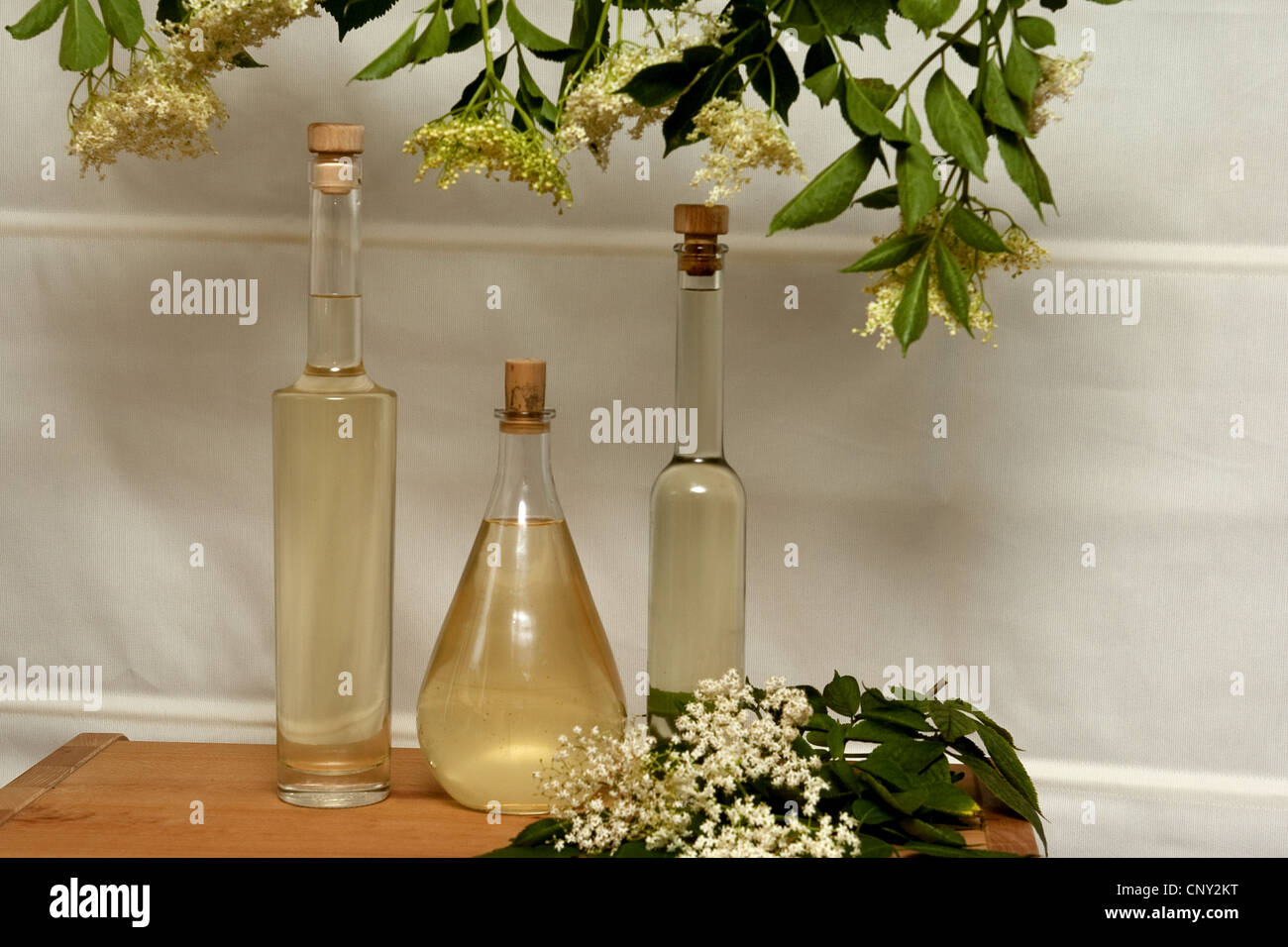 Nero europeo sambuco, Sambuco, Comune di sambuco (Sambucus nigra), diverse bottiglie di self-made sciroppo: Blossoms sono messe in un barattolo e a sinistra per disegnare insieme con acqua, dischi di limone, acido citrico e zucchero, Germania Foto Stock