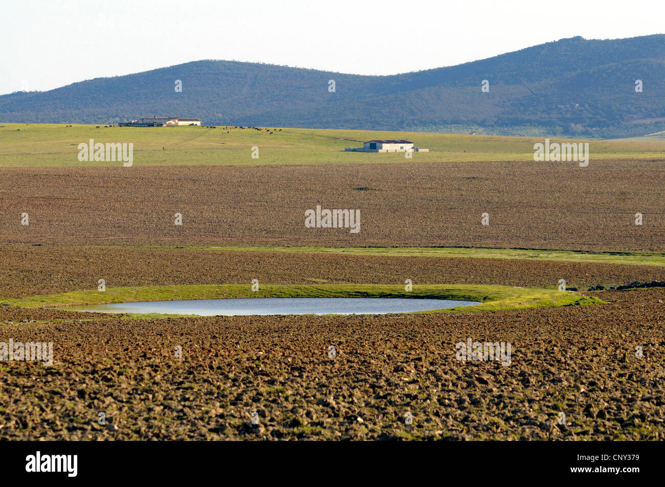 Paesaggio in Estremadura, Spagna Estremadura Foto Stock