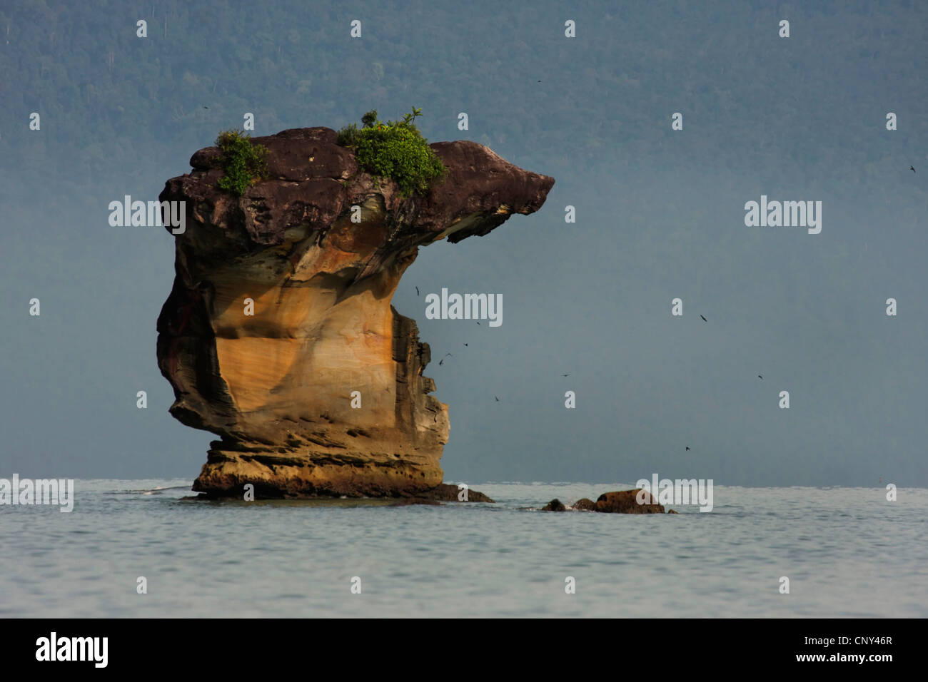 Formazione di roccia, Malesia, Borneo Bako National Park, Sarawak Foto Stock
