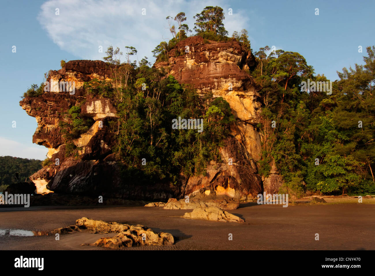 Formazione di roccia in spiaggia, Malesia, Borneo Bako National Park, Sarawak Foto Stock