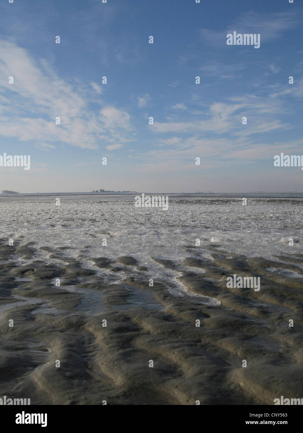 Frosty Noth mare coa in Niedersaechsisches Wattenmeer National Park, Germania, Bassa Sassonia, Frisia orientale, Bensersiel Foto Stock