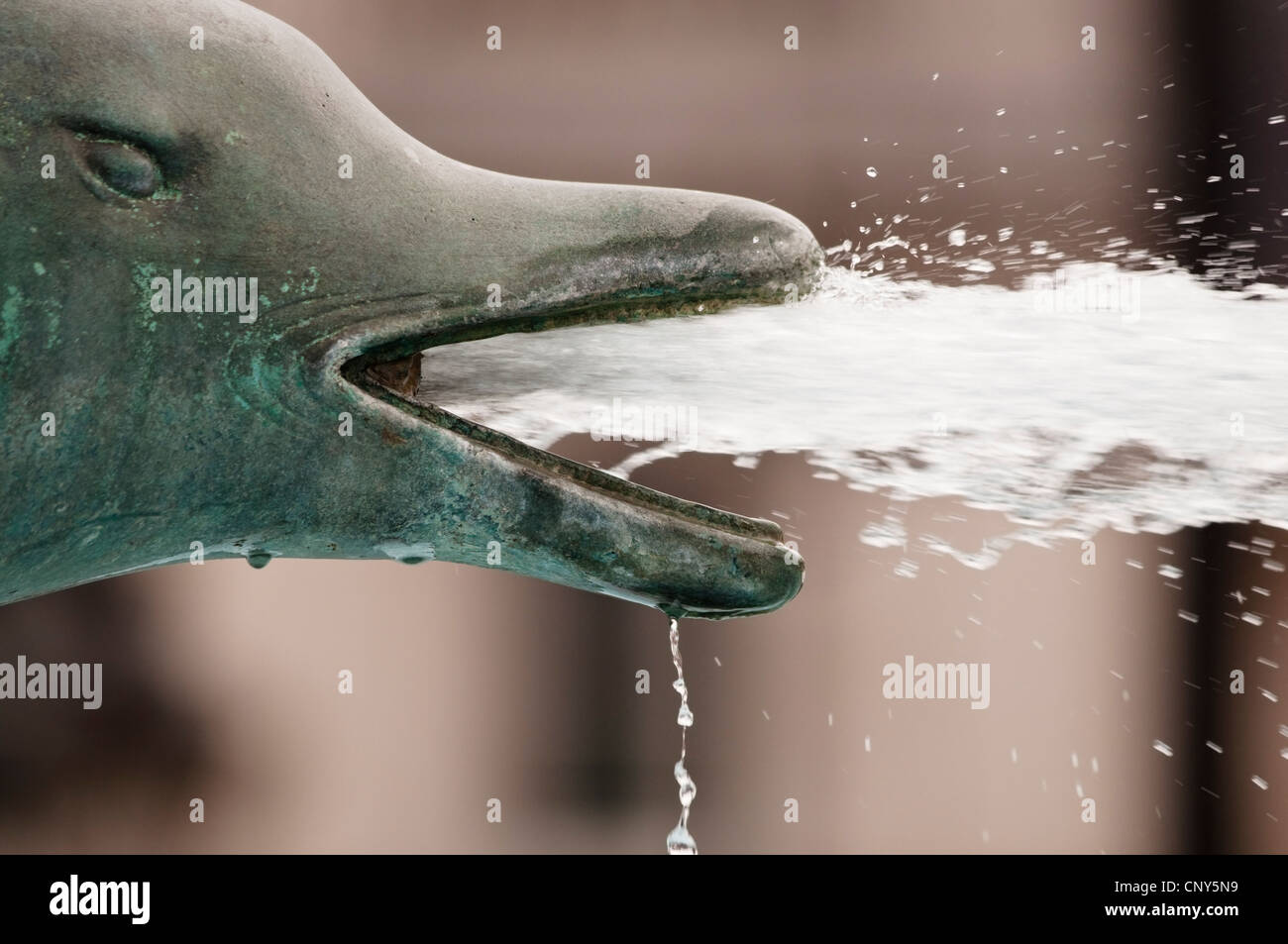 Bronzo Fontana dei delfini che sputano acqua attraverso la bocca Foto Stock