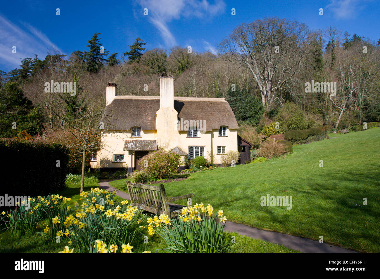 Cottage con tetto in paglia e narcisi nel villaggio di Exmoor di Selworthy, Somerset, Inghilterra Foto Stock