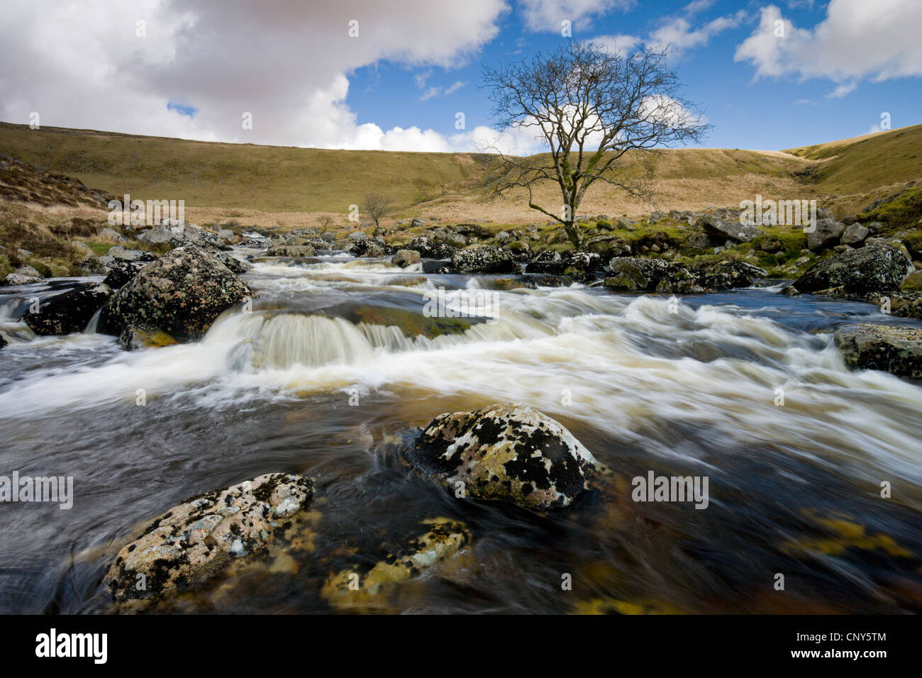 Fiume Tavy fluente attraverso Tavy scindere, Parco Nazionale di Dartmoor, Devon, Inghilterra Foto Stock