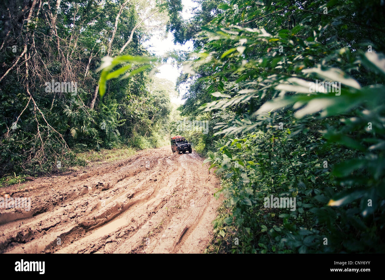 Una strada fangosa in Belize Chiquibul della foresta pluviale Foto Stock