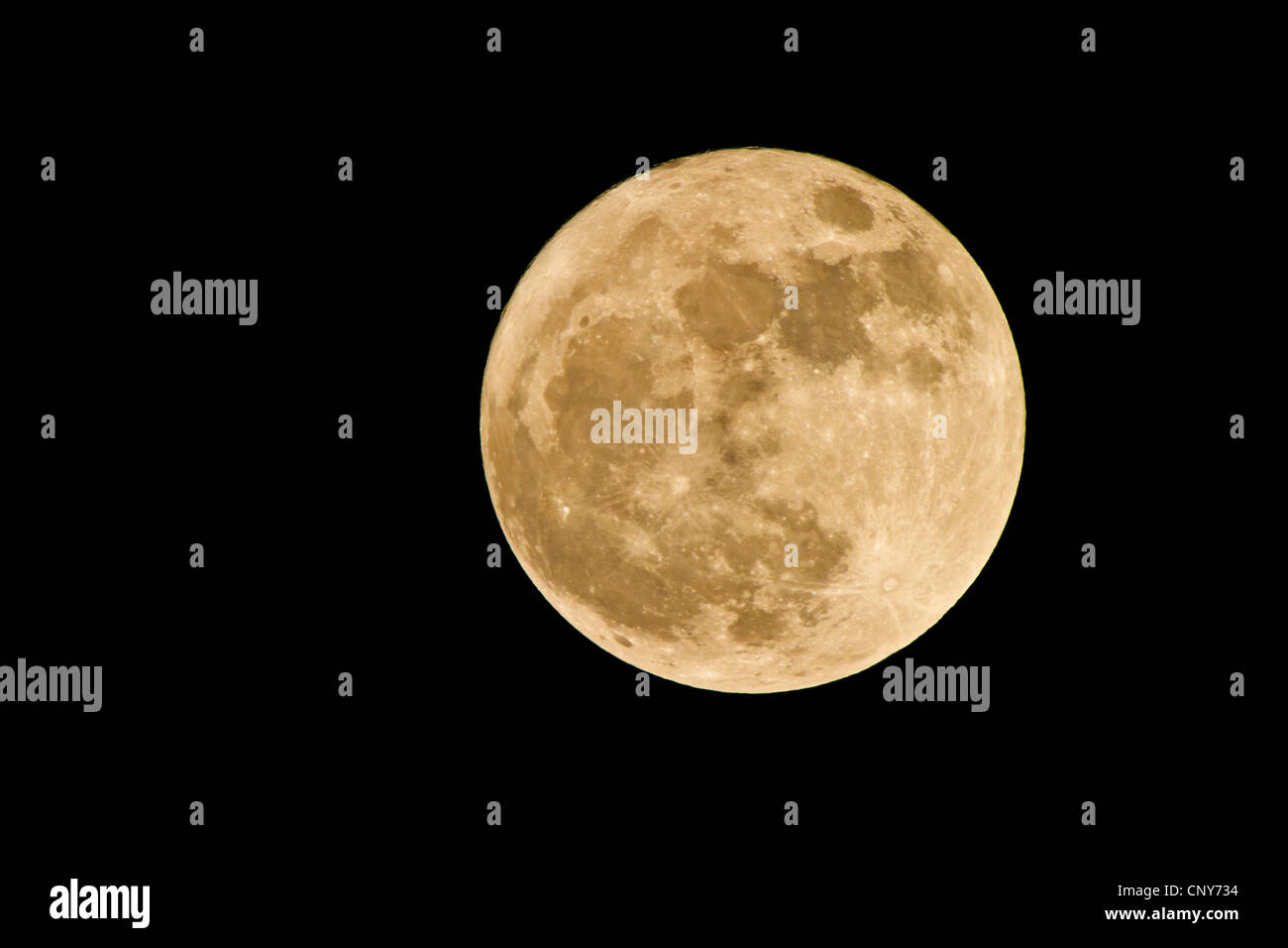 Luna piena in rari perigeo il 19.3.2011, in Germania, in Baviera Foto Stock