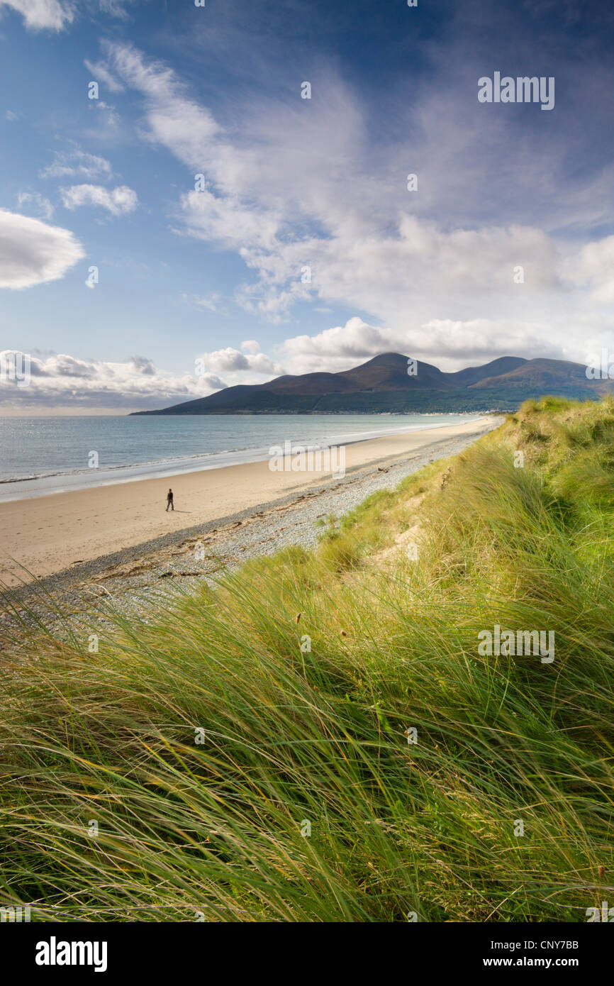 Persona che cammina da sola lungo Dundrum Bay, County Down, Irlanda del Nord Foto Stock