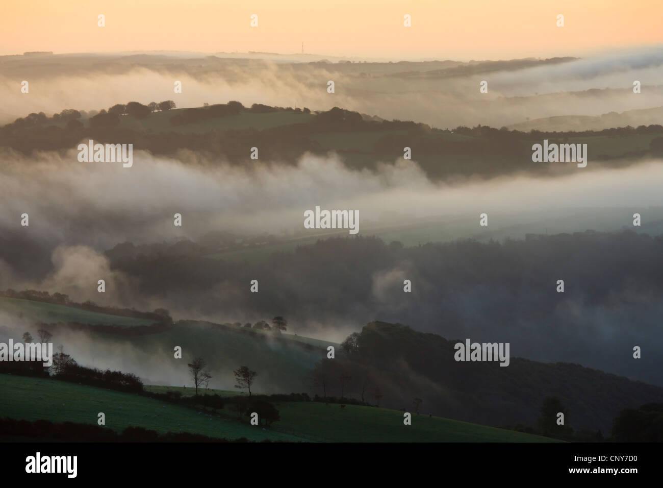 La nebbia si blocca basso sopra la campagna aperta all'alba, Parco Nazionale di Exmoor, Somerset, Inghilterra Foto Stock