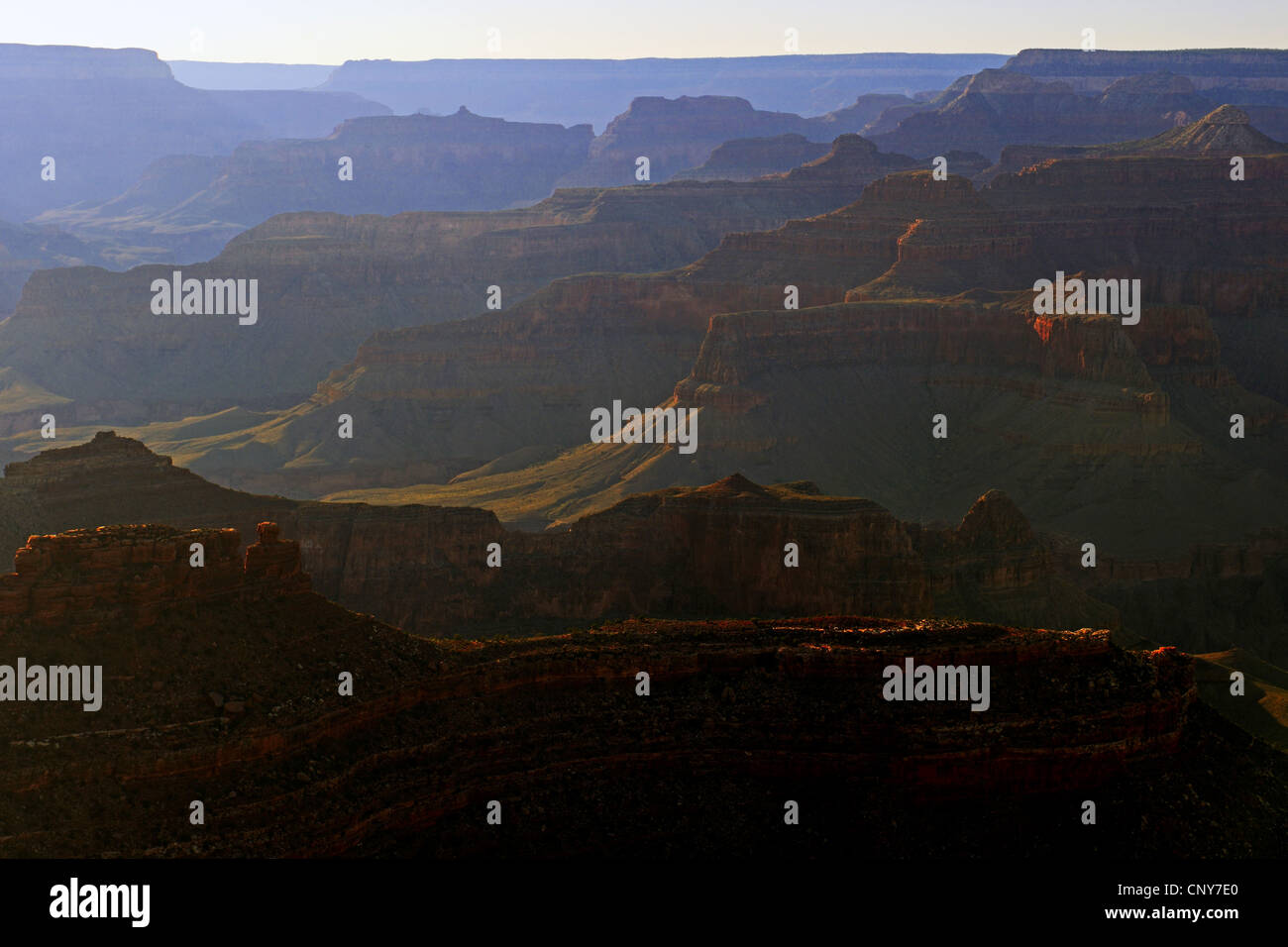 Vista al tramonto dalla Yavapai Point oltre il Bright Angel Canyon presso il bordo meridionale del Grand Canyon, STATI UNITI D'AMERICA, Arizona Foto Stock