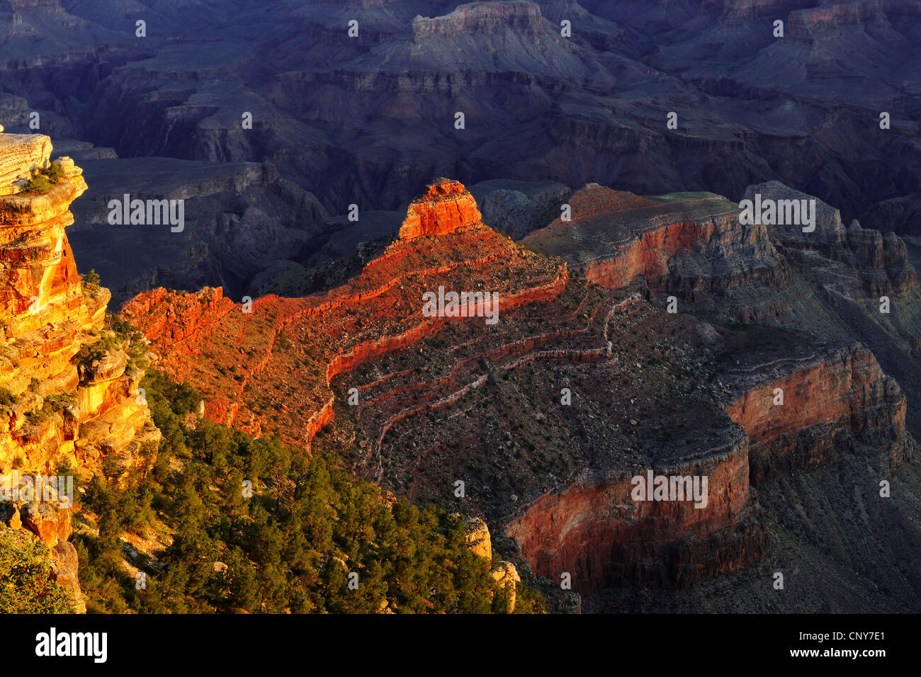 Sunrise a Yaki punto al margine meridionale del Gran Canyon, STATI UNITI D'AMERICA, Arizona Foto Stock