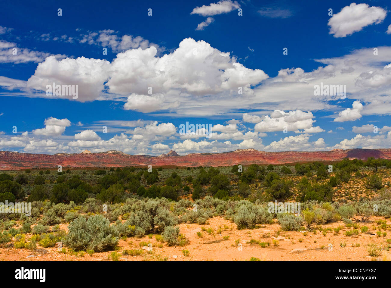 Semi-deserto con arbusti e colorato paesaggio collinare in background, STATI UNITI D'AMERICA, Arizona Foto Stock