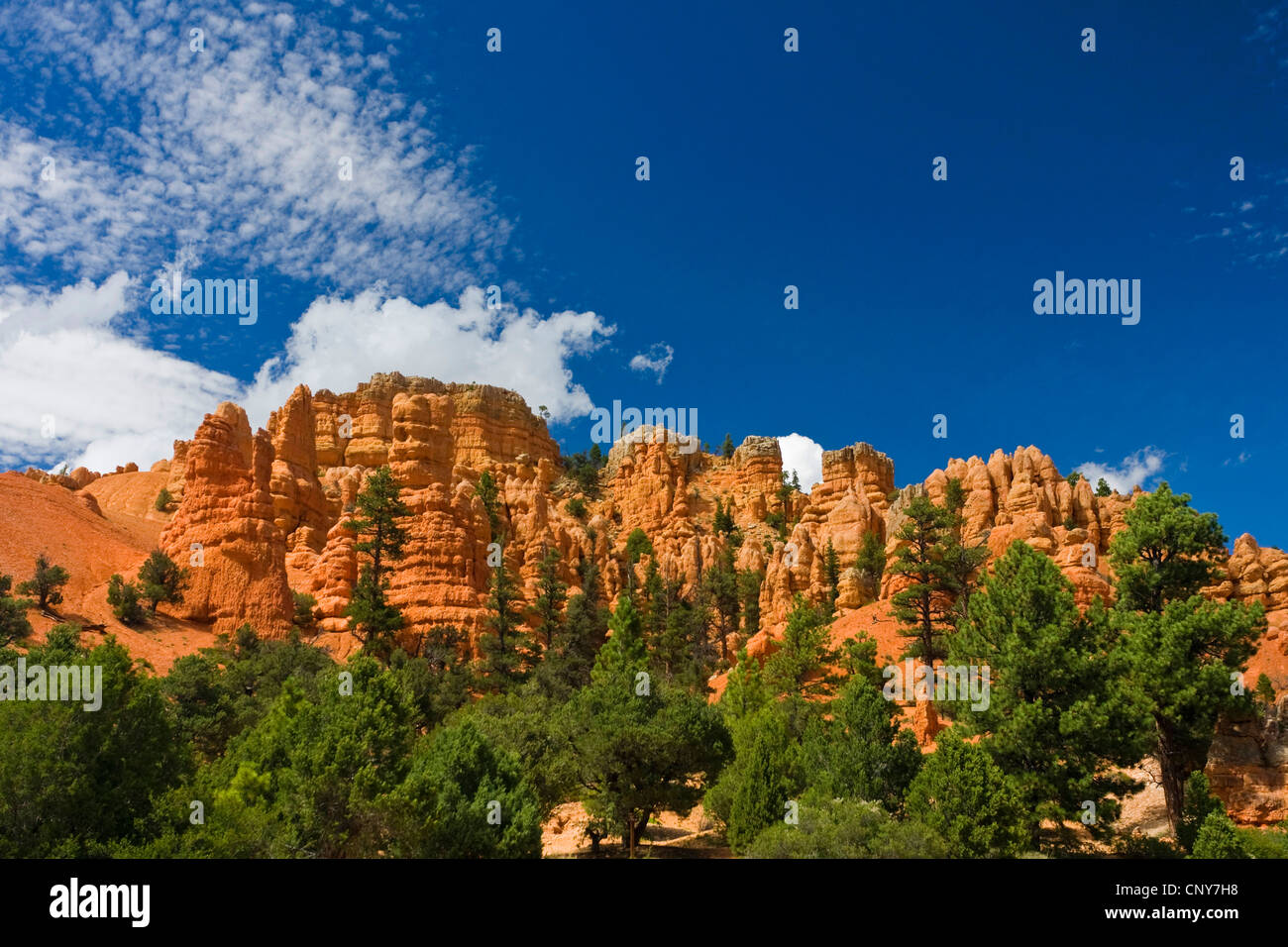 Le formazioni rocciose del Canyon rosso e blu cielo nuvoloso, STATI UNITI D'AMERICA, Utah, Rosso Canyon, Dixie National Forest Foto Stock