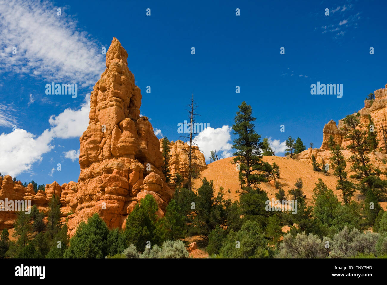 Le formazioni rocciose del Canyon rosso e blu cielo nuvoloso, STATI UNITI D'AMERICA, Utah, Rosso Canyon, Dixie National Forest Foto Stock