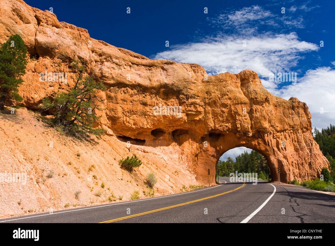 Country Road attraverso arch rock, STATI UNITI D'AMERICA, Utah, Rosso Canyon, Dixie National Forest Foto Stock