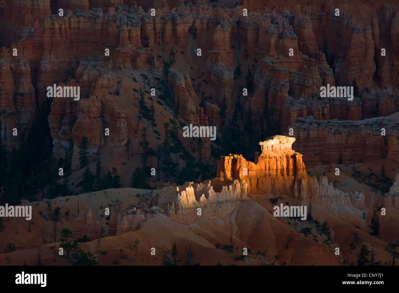 Formazioni rocciose nell'ultima luce della sera, USA Utah, Parco Nazionale di Bryce Canyon, Colorado Plateau Foto Stock