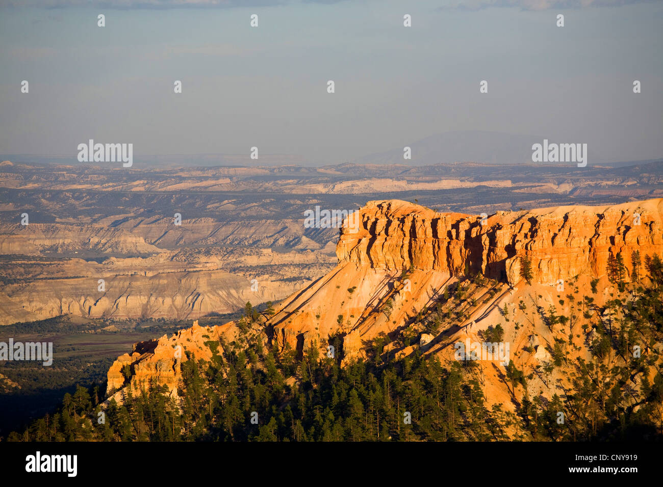 Vista dal punto al tramonto a bordo di Bryce Canyon nella luce della sera, USA Utah, Parco Nazionale di Bryce Canyon, Colorado Plateau Foto Stock