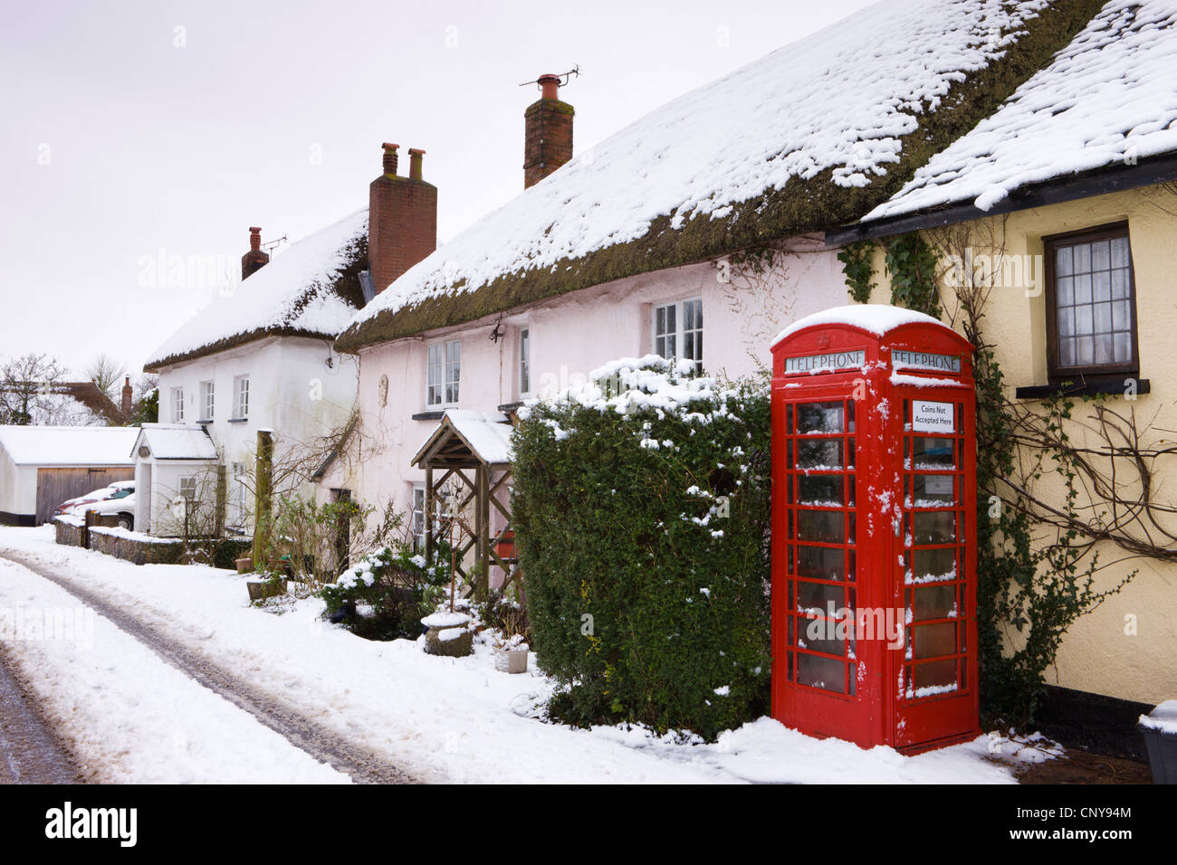 Coperta di neve cottages e telefono tradizionale scatola nel villaggio di Morchard Vescovo, Devon, Inghilterra. Foto Stock