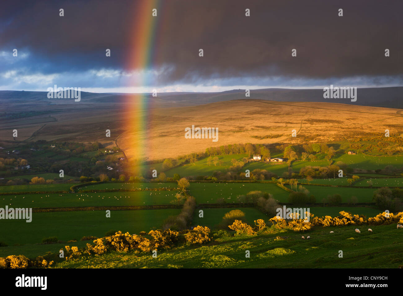 Rainbow al di sopra di terreni agricoli di rotolamento sui bordi del Parco Nazionale di Dartmoor, Devon, Inghilterra. Molla (aprile) 2009 Foto Stock