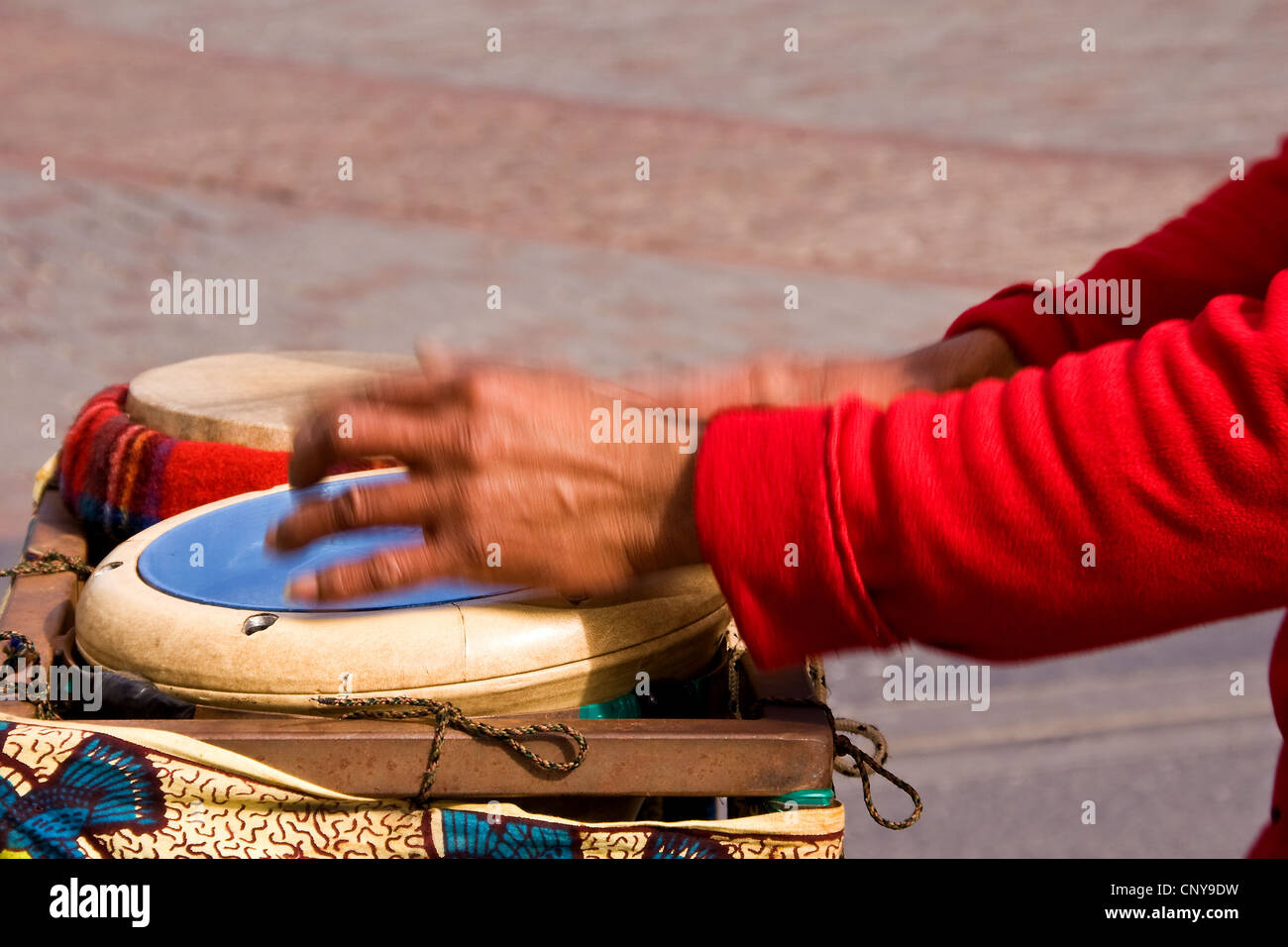 Primo piano di un maschio africano il batterista con le mani in mano in azione a battere il djembe tamburi durante l'esecuzione di live a Dundee, Regno Unito Foto Stock