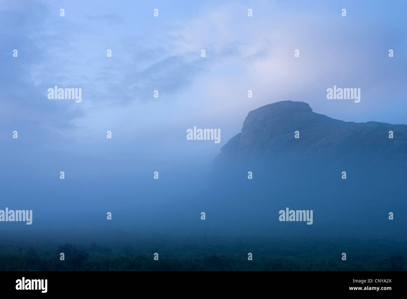 Haytor circondato da nebbia in un moody serata estiva, Dartmoor Devon, Inghilterra. In estate (Luglio) 2010. Foto Stock
