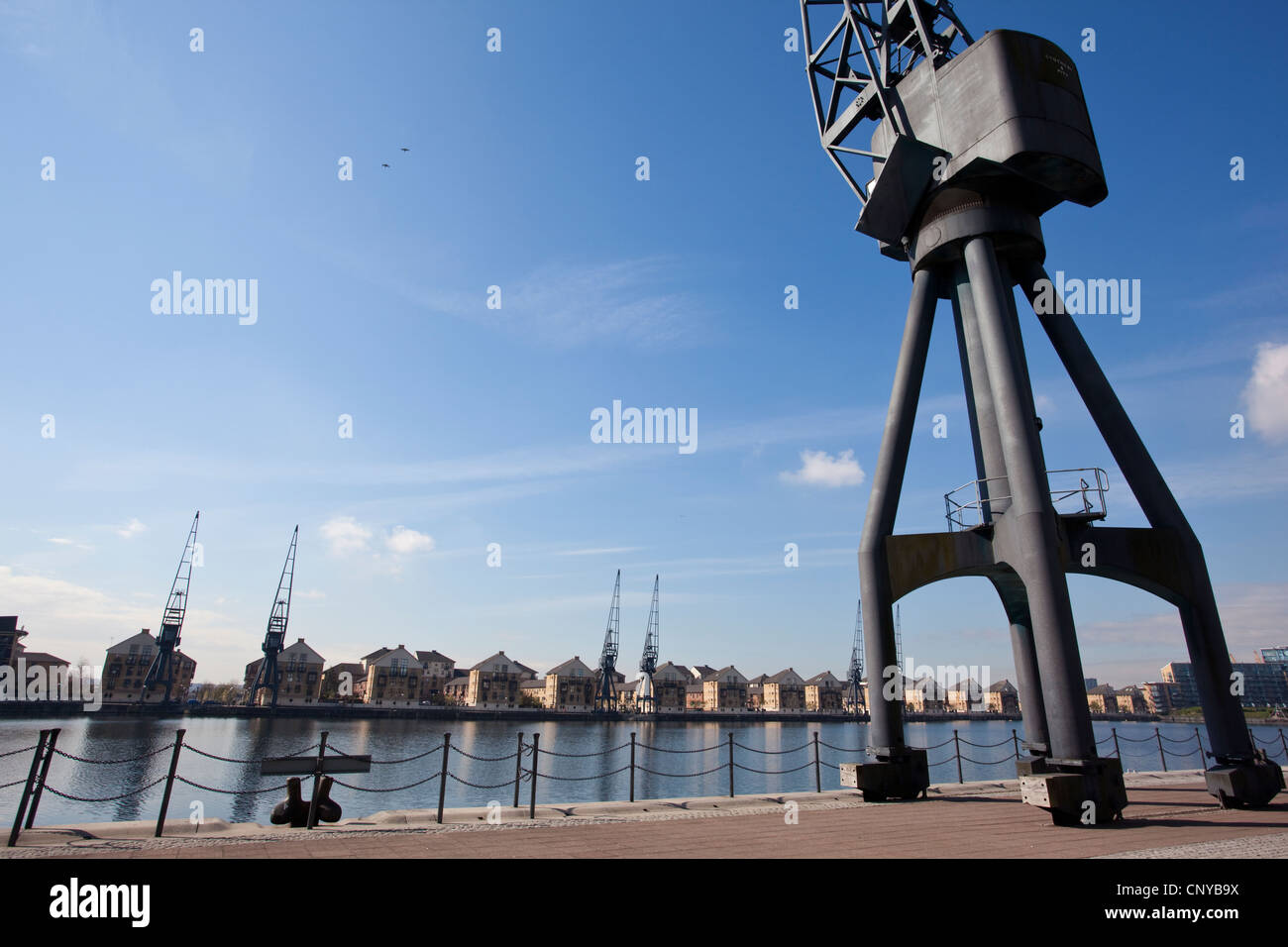 Royal Victoria Dock, Millennium Mill, Waterfront , River Thames, London, Regno Unito Foto Stock