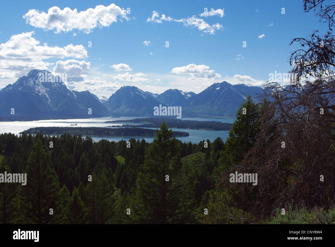 Il lago Jackson e Grand Tetons dalla montagna del segnale si affacciano, Wyoming Foto Stock