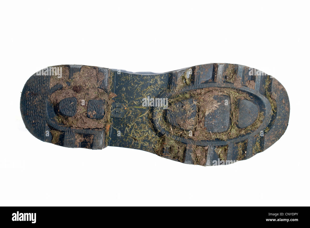 Il fondo di un fangoso avvio di Wellington Foto Stock