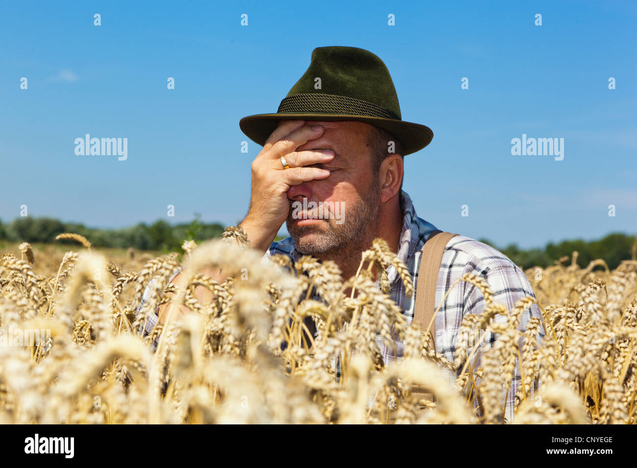 Frustrati agricoltore seduto nella sua coppia campo di grano tenendo una mano davanti al suo volto, Germania Foto Stock