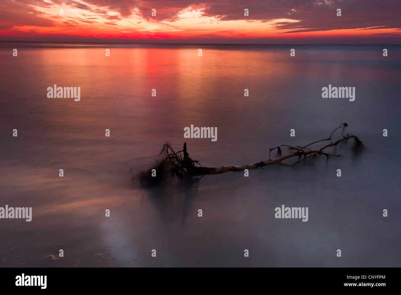 Tramonto al mare Baltico, Germania, Meclemburgo-Pomerania, Darss, Wustrow Foto Stock