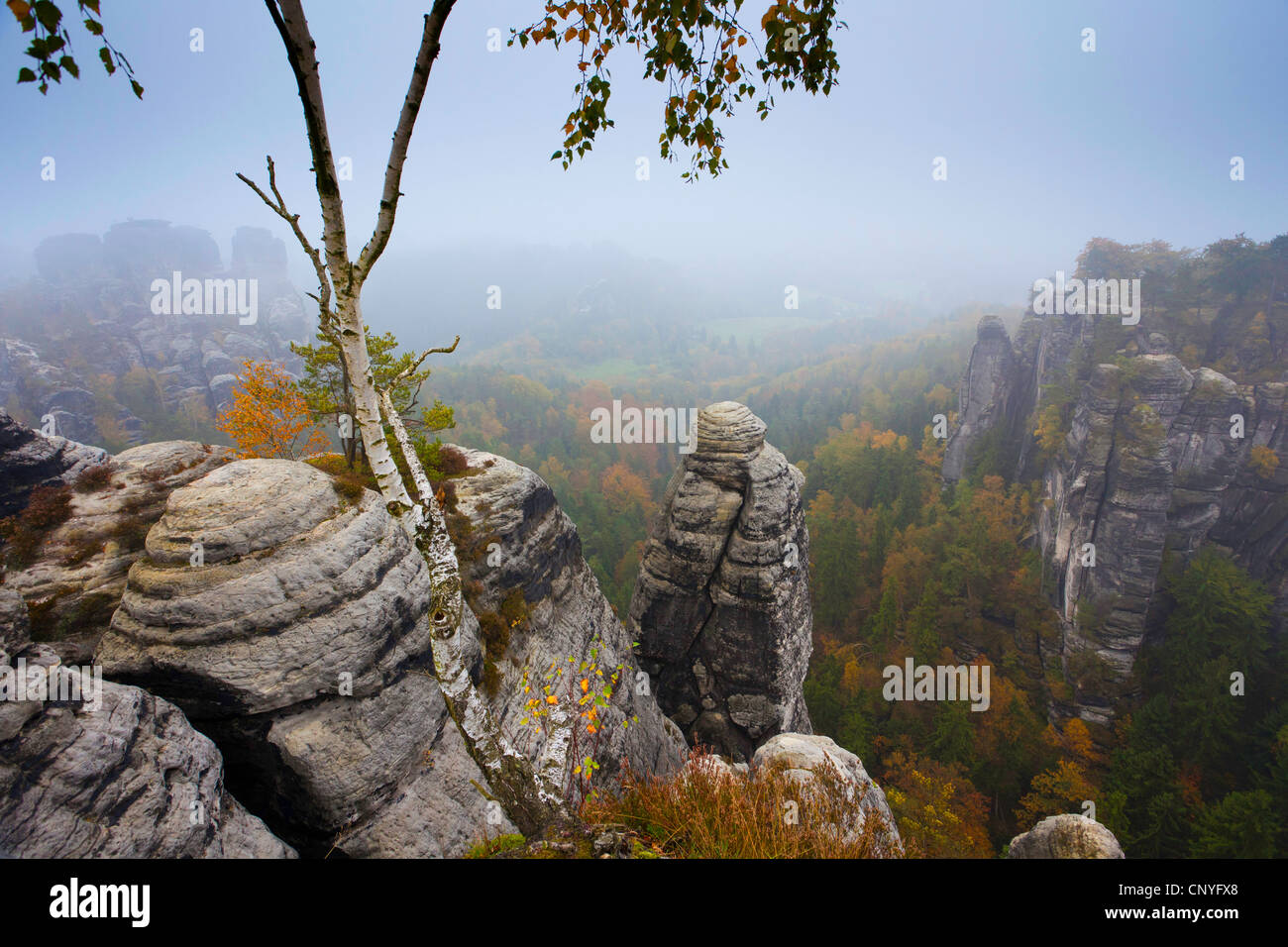 Bastei rock formazione nella nebbia mattutina, in Germania, in Sassonia, Svizzera Sassone National Park Foto Stock