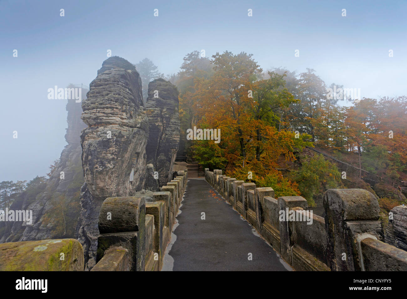 Bastei rock formazione e Bastei bridge nella nebbia mattutina, in Germania, in Sassonia, Svizzera Sassone National Park Foto Stock