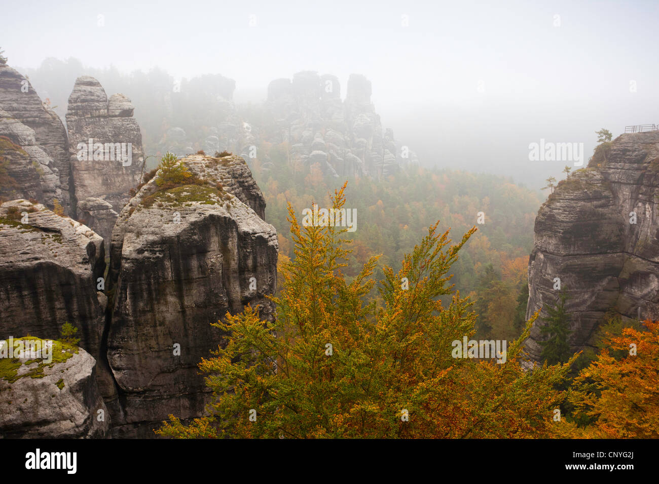 Bastei rock formazione vicino Rathen, in Germania, in Sassonia, Svizzera Sassone National Park Foto Stock