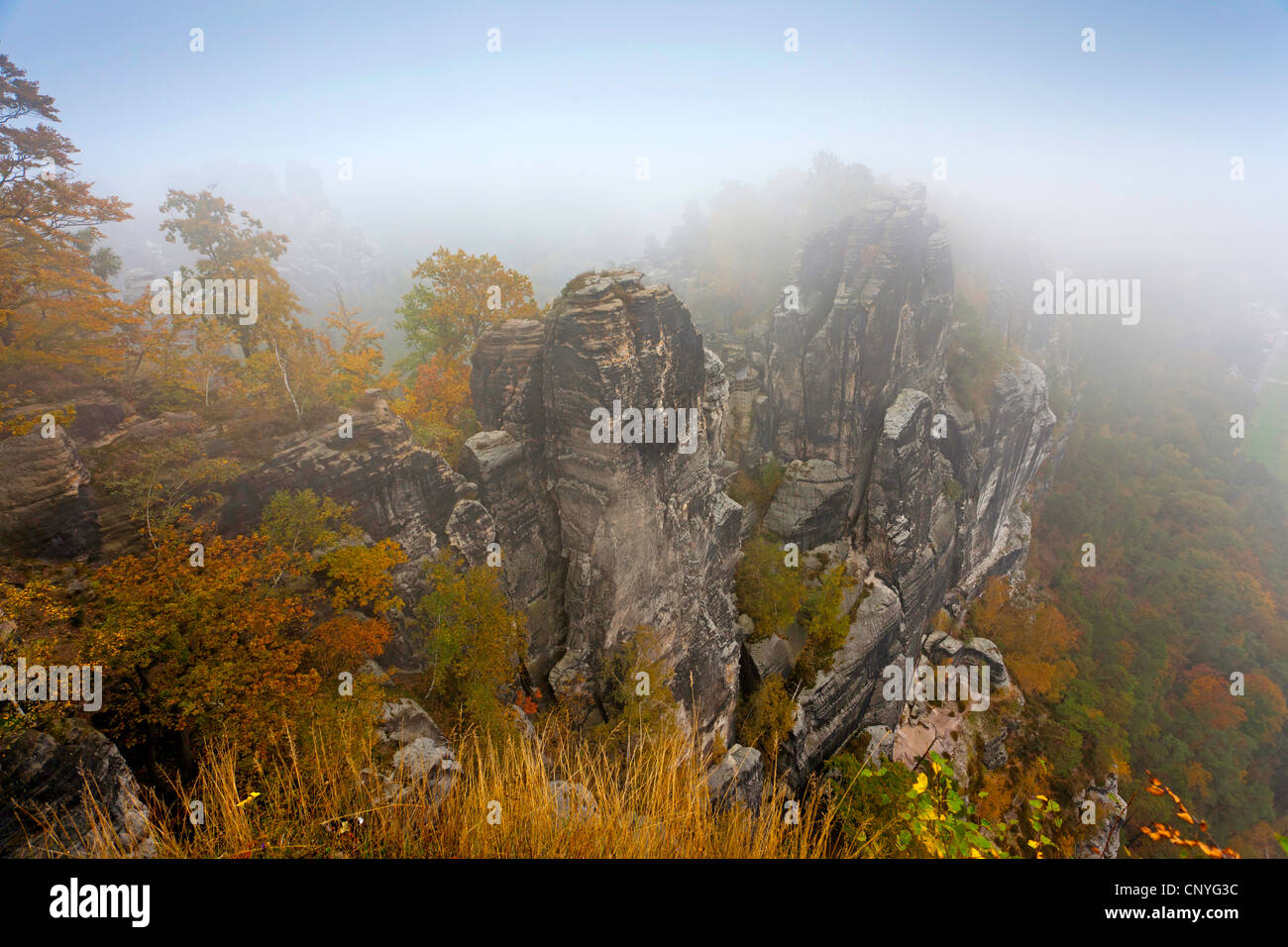 Bastei rock formazione vicino Rathen, in Germania, in Sassonia, Svizzera Sassone National Park Foto Stock