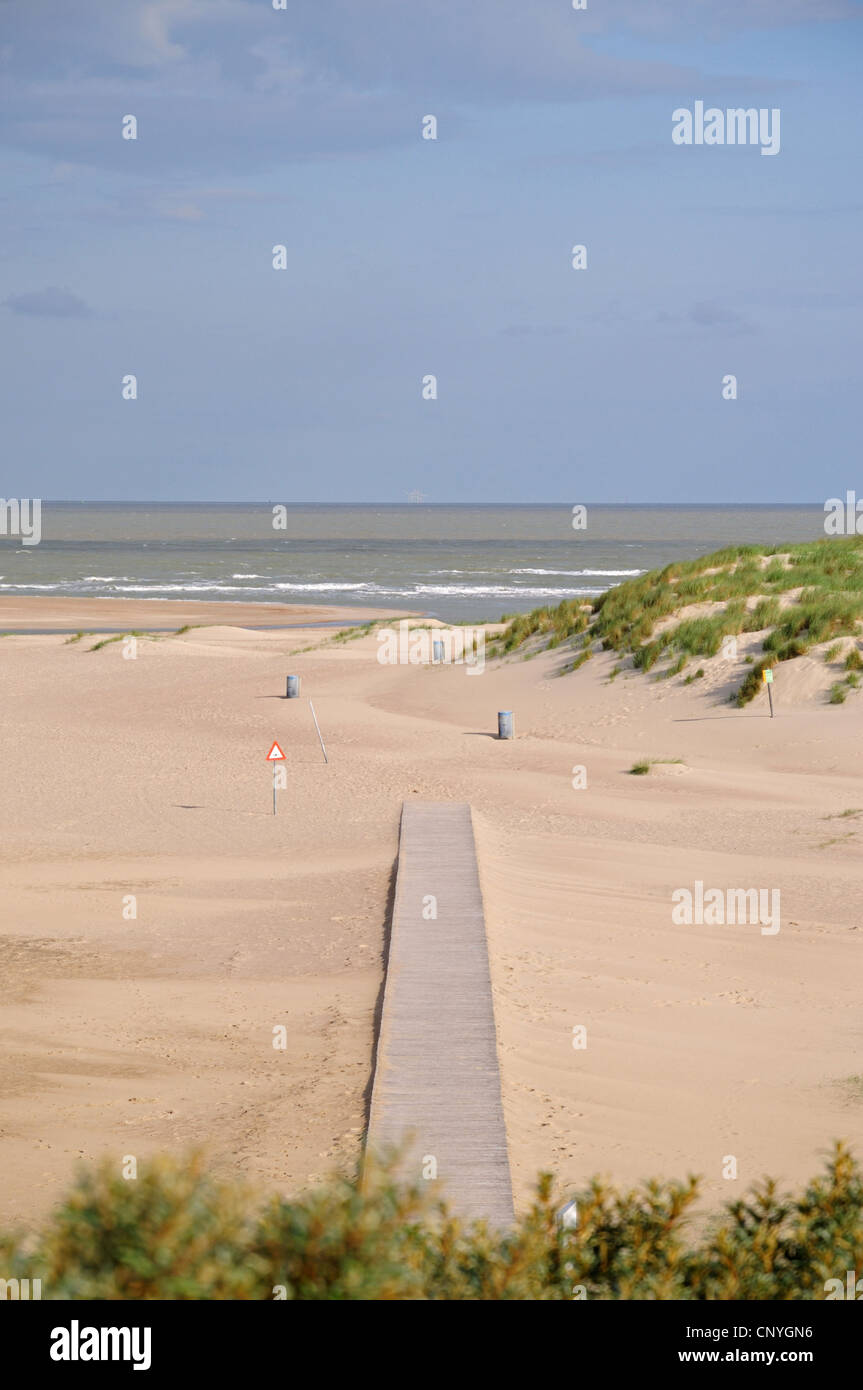 Passeggiata in spiaggia sabbiosa, vista al mare del Nord, Paesi Bassi, Cadzand Foto Stock
