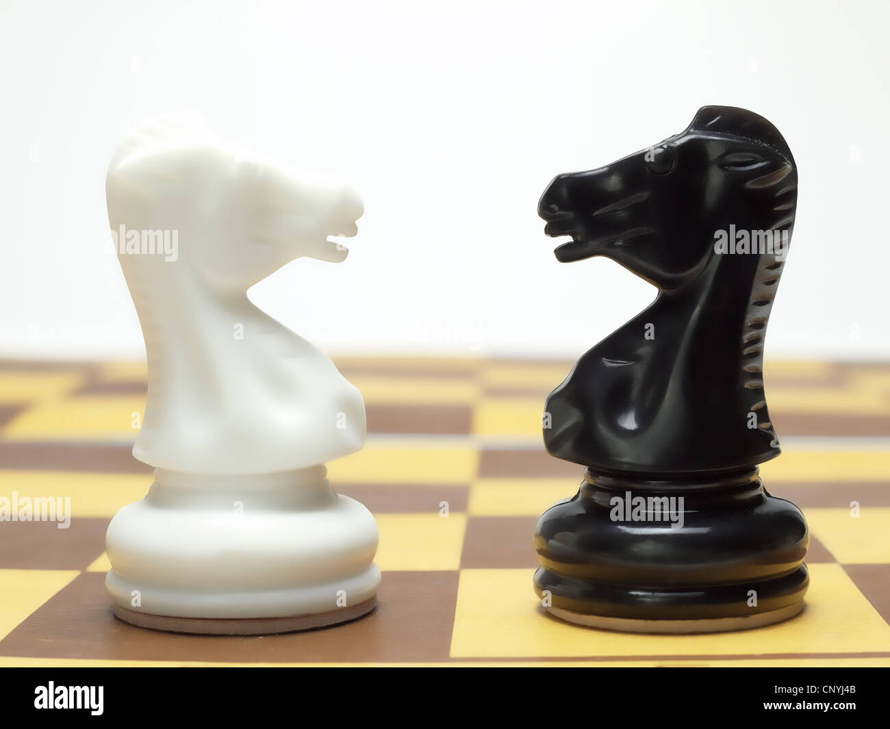 In bianco e nero a scacchi cavalieri in piedi faccia a faccia su sfondo bianco Foto Stock